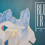 Apartment The Blue Iris Rome